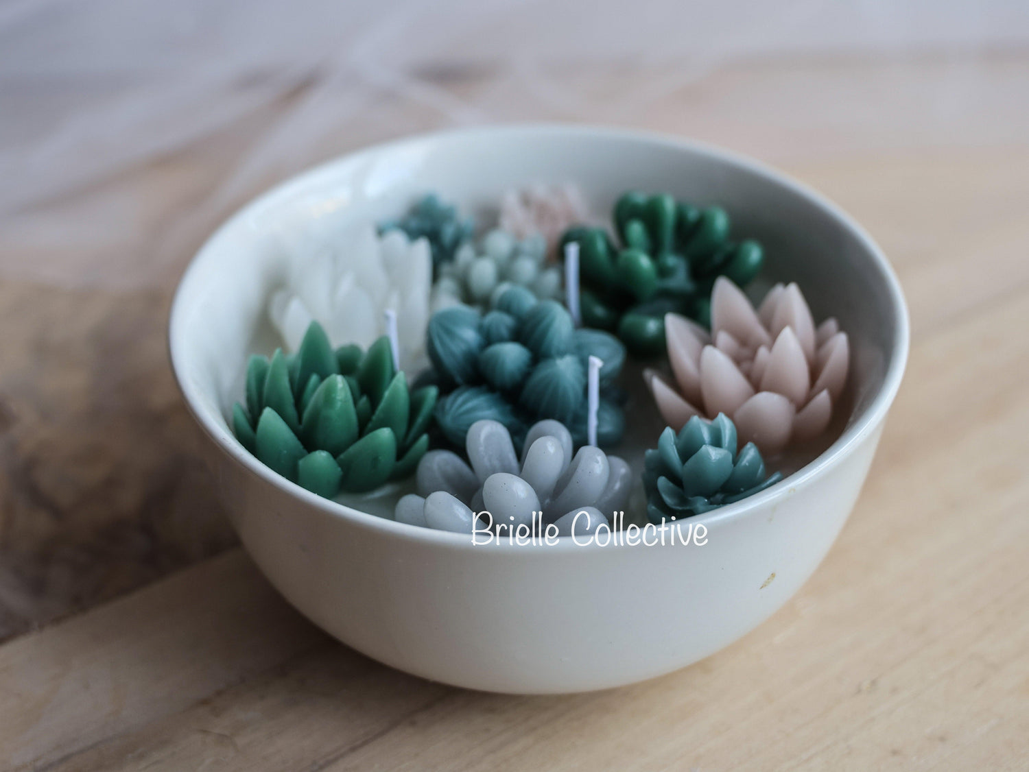 Green Ave Succulent Candle Bowl - Brielle Collective