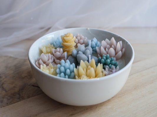 Blue Ave Succulent Candle Bowl - Brielle Collective