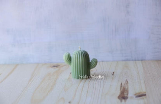 Desert Cactus Candle - Brielle Collective